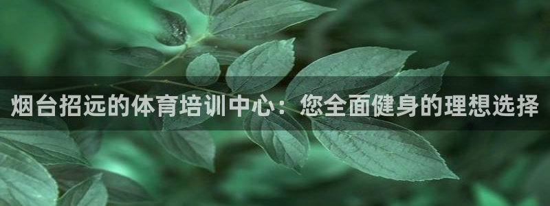 焦点娱乐官方网站首页下载手机版：烟台招远的体育培训中