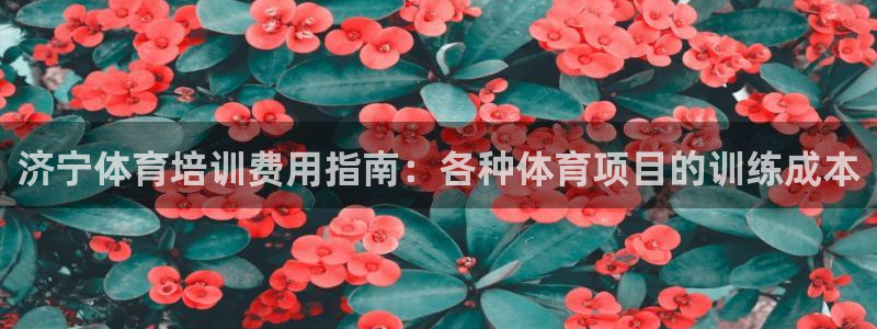 焦点娱乐什么意思：济宁体育培训费用指南：各种体育项目