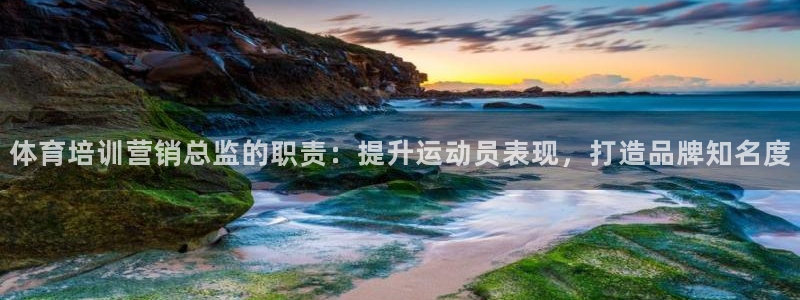 焦点娱乐官方网站下载安装：体育培训营销总监的职责：提