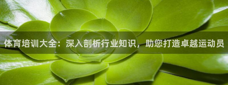 焦点娱乐拉菲11月11日：体育培训大全：深入剖析行业