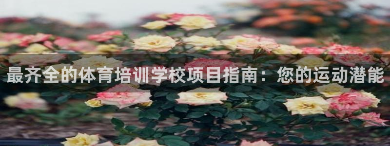 焦点娱乐：最齐全的体育培训学校项目指南：您的运动潜能