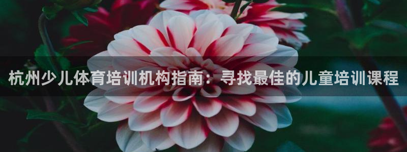 焦点娱乐平台客服电话号码查询：杭州少儿体育培训机构指