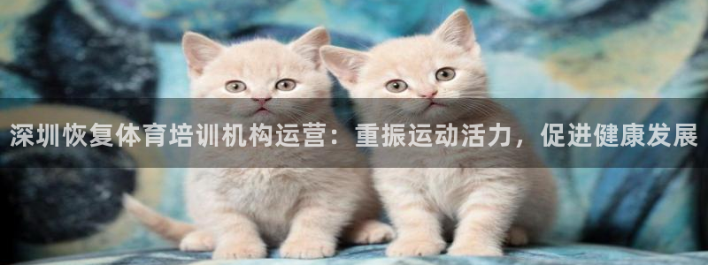 焦点娱乐游戏攻略大全：深圳恢复体育培训机构运营：重振