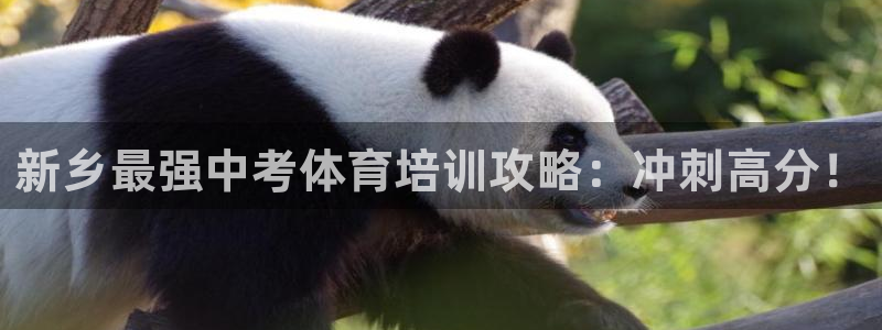焦点娱乐官方网站首页入口