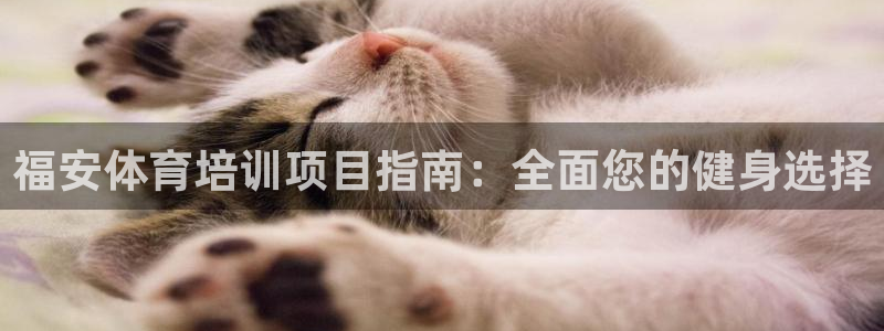 焦点娱乐软件版本大全：福安体育培训项目指南：全面您的