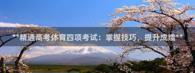 焦点娱乐公司：**精通高考体育四项考试：掌握技巧，提