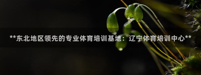 焦点娱乐财神：**东北地区领先的专业体育培训基地：辽
