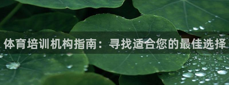 焦点娱乐官网下载安装最新版：体育培训机构指南：寻找适