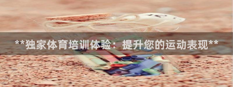 焦点娱乐股东是谁：**独家体育培训体验：提升您的运动