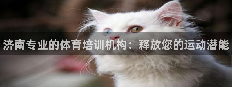 焦点娱乐平台玩法官方导师