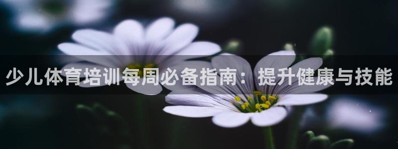 焦点娱乐app下载官网