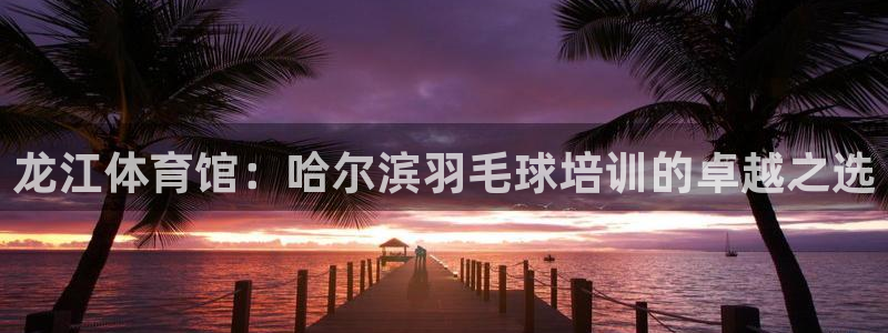 焦点娱乐传媒有限公司招聘要求：龙江体育馆：哈尔滨羽毛