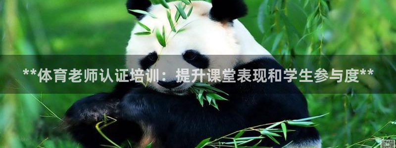 焦点娱乐官网下载