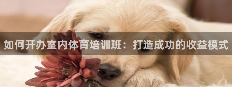 焦点娱乐说说句子：如何开办室内体育培训班：打造成功的
