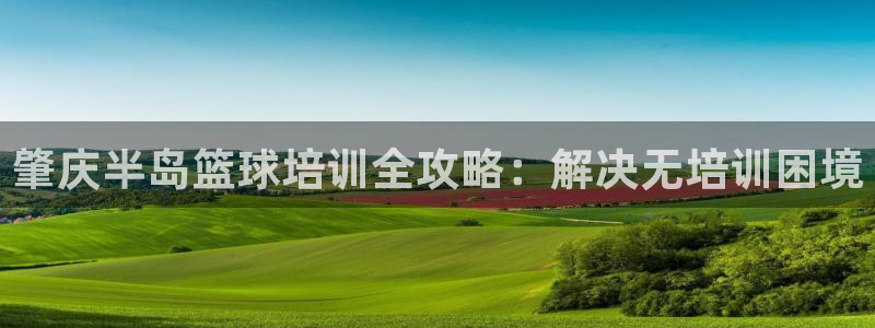 焦点娱乐平台登录不了了：肇庆半岛篮球培训全攻略：解决