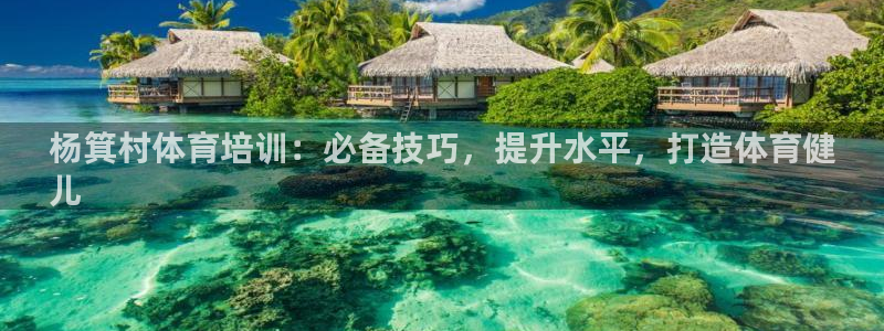 焦点娱乐是黑平台吗是真的吗：杨箕村体育培训：必备技巧