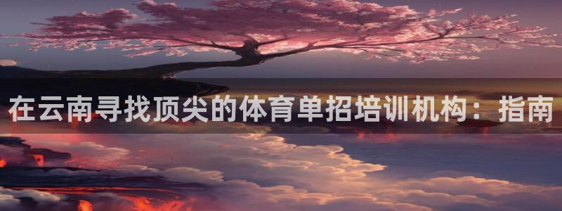 焦点娱乐游戏攻略视频：在云南寻找顶尖的体育单招培训机