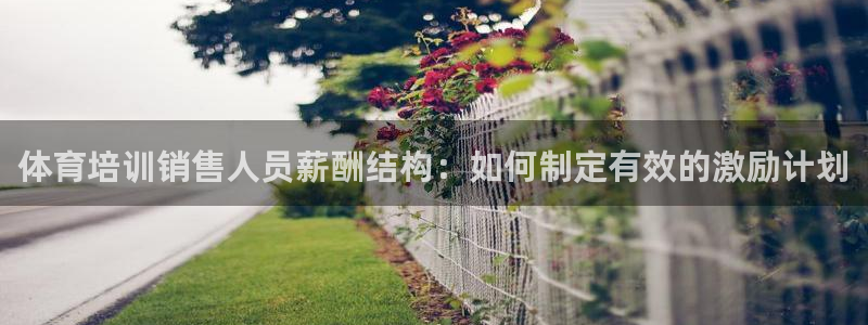 焦点娱乐官方网站首页入口：体育培训销售人员薪酬结构：