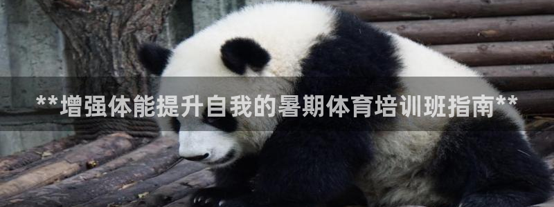 焦点娱乐公司的发展历程：**增强体能提升自我的暑期体