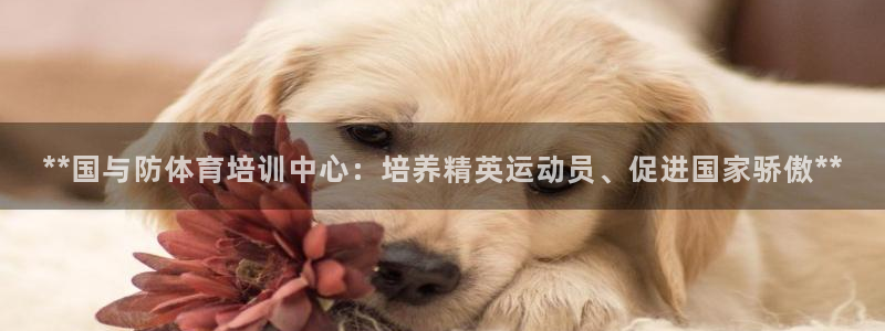 焦点娱乐说说