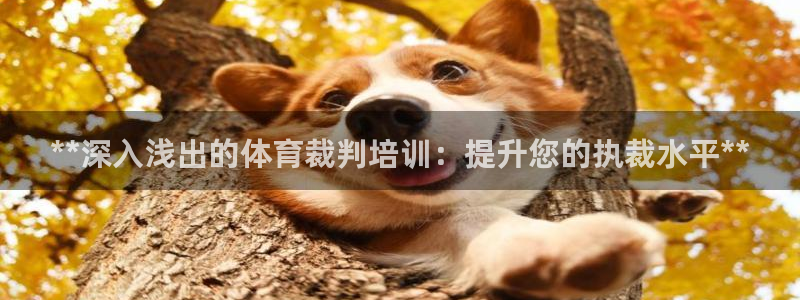 焦点娱乐官方网站首页下载安装：**深入浅出的体育裁判
