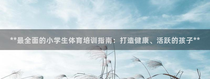 焦点娱乐是哪个公司的软件：**最全面的小学生体育培训
