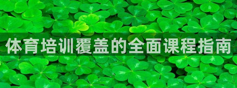 焦点娱乐有限公司怎么样：体育培训覆盖的全面课程指南