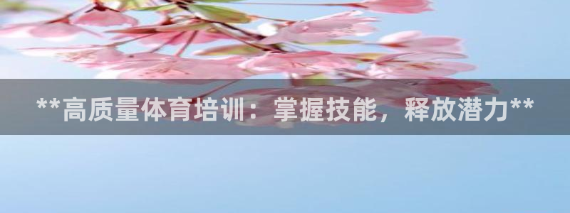 焦点娱乐有限公司：**高质量体育培训：掌握技能，释放