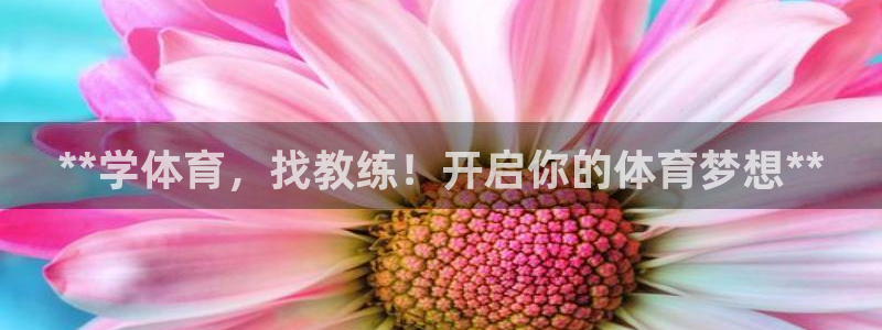 焦点娱乐会所：**学体育，找教练！开启你的体育梦想*