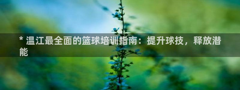 焦点娱乐官方网站下载安装手机版：* 温江最全面的篮球