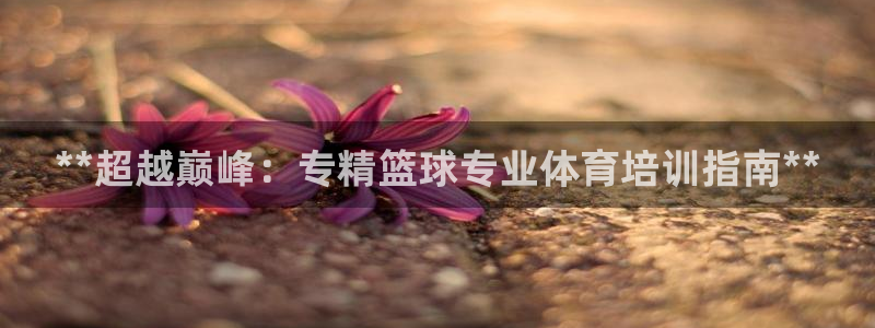 焦点娱乐游戏攻略视频：**超越巅峰：专精篮球专业体育