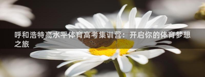 焦点娱乐平台怎么样赚钱：呼和浩特高水平体育高考集训营