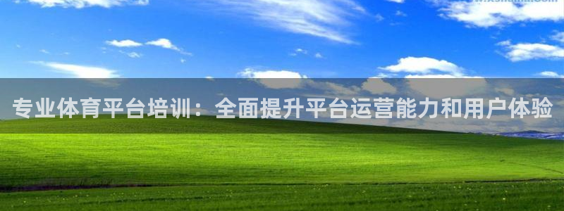 焦点娱乐平台客服：专业体育平台培训：全面提升平台运营