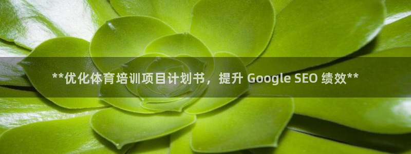 焦点娱乐平台注册账号安全吗知乎：**优化体育培训项目