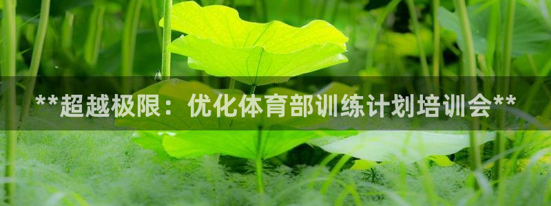 焦点娱乐和门徒娱乐提款到账快吗：**超越极限：优化体