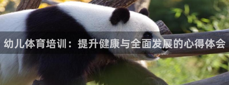 焦点娱乐平台是正规的吗知乎文章：幼儿体育培训：提升健