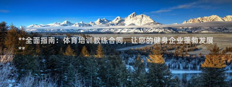 焦点娱乐是黑平台吗是真的吗：**全面指南：体育培训教