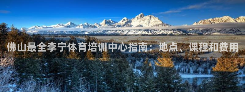焦点娱乐公司是干嘛的：佛山最全李宁体育培训中心指南：