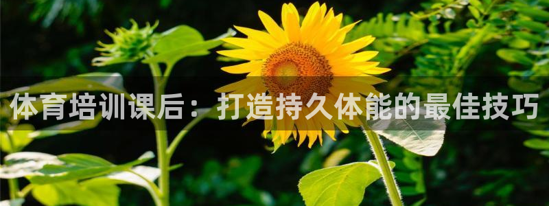焦点娱乐传媒有限公司官网招聘：体育培训课后：打造持久
