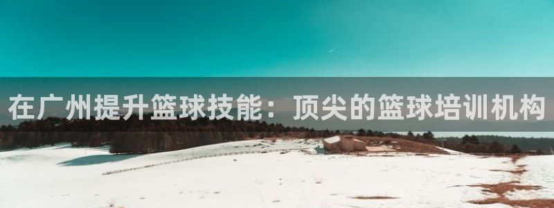 焦点娱乐负责人：在广州提升篮球技能：顶尖的篮球培训机