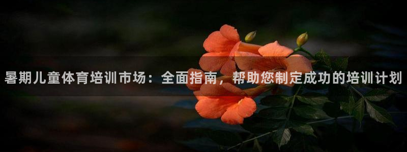 焦点娱乐平台登录不了：暑期儿童体育培训市场：全面指南