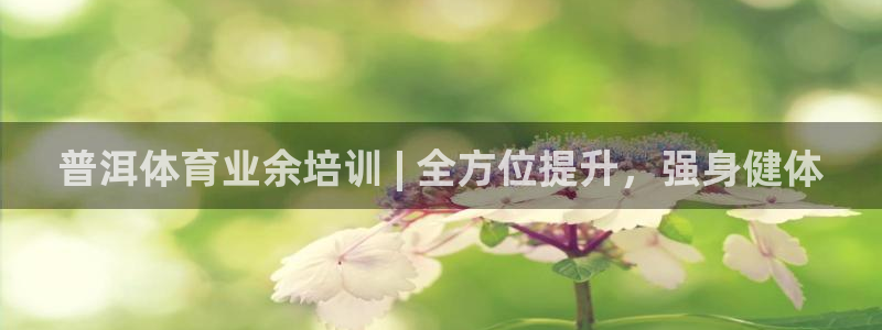 焦点娱乐游戏怎么玩的：普洱体育业余培训 | 全方位提