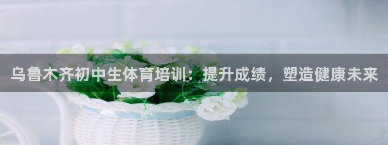 焦点娱乐官方网站入口在线观看下载