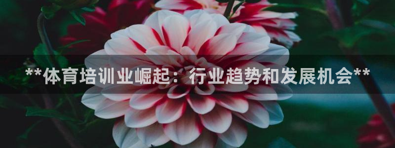 焦点娱乐游戏怎么玩教程：**体育培训业崛起：行业趋势