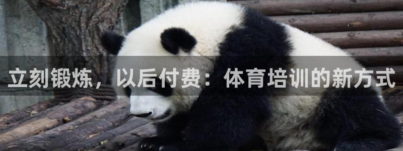 焦点娱乐公司简介怎么写：立刻锻炼，以后付费：体育培训