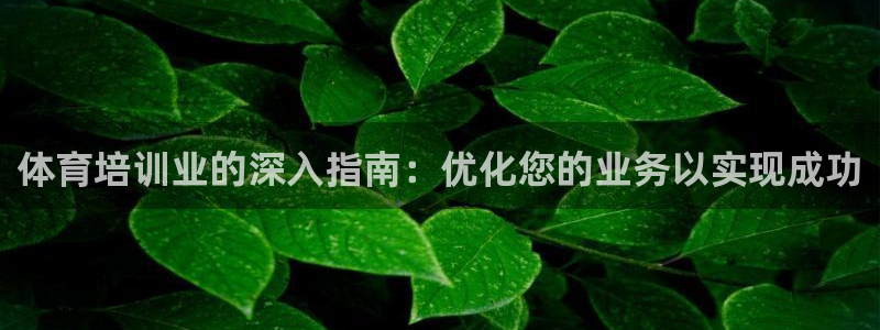 焦点娱乐有限公司：体育培训业的深入指南：优化您的业务