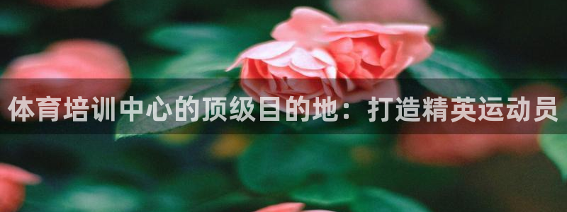 焦点娱乐公司：体育培训中心的顶级目的地：打造精英运动