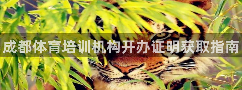 焦点娱乐app下载官网：成都体育培训机构开办证明获取