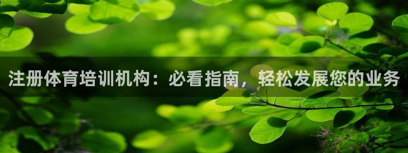 焦点娱乐官方网站首页：注册体育培训机构：必看指南，轻