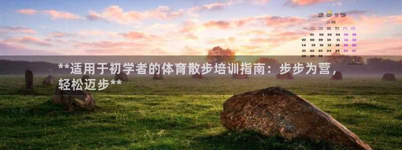 焦点娱乐佳 411O31 焦点：**适用于初学者的体